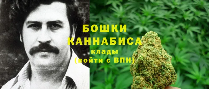 Конопля OG Kush  Белокуриха 